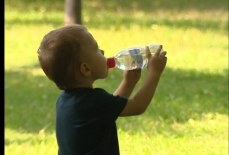 Стоит ли пить воду во время жары?